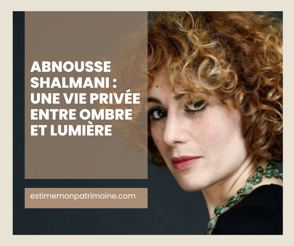 Affiche promotionnelle avec le texte "Abnousse Shalmani : une vie privée entre ombre et lumière" et le site web estimemonpatrimoine.com.La photo d'une personne est floutée.